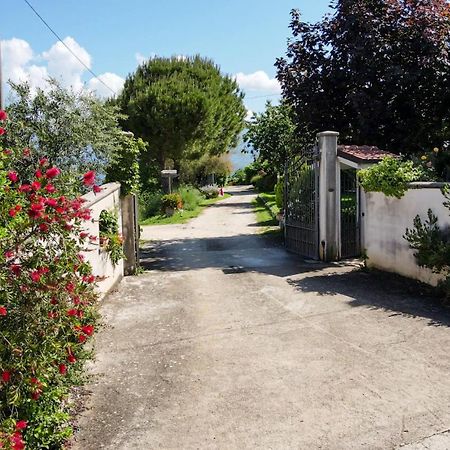 La Staccionata Villa Arpino Dış mekan fotoğraf