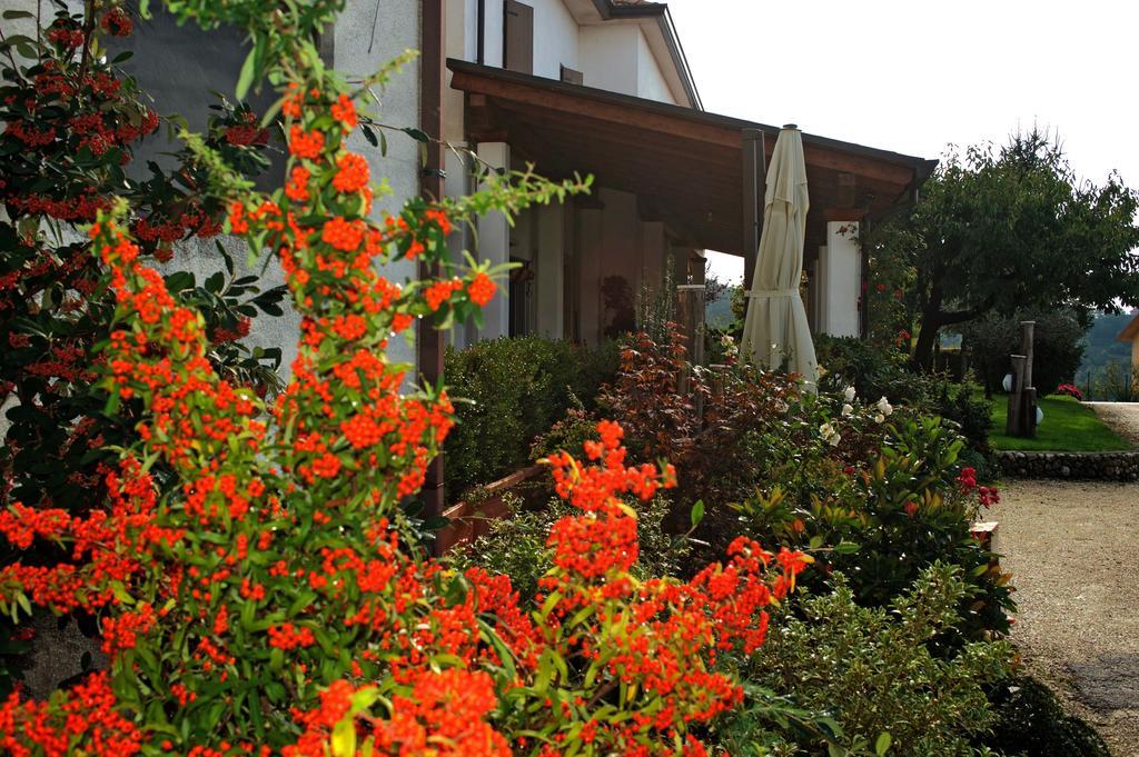 La Staccionata Villa Arpino Dış mekan fotoğraf